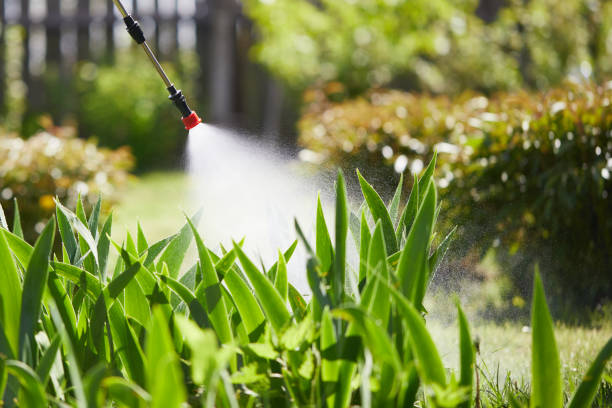 24/7 Emergency Fumigation Services experts in Union, SC